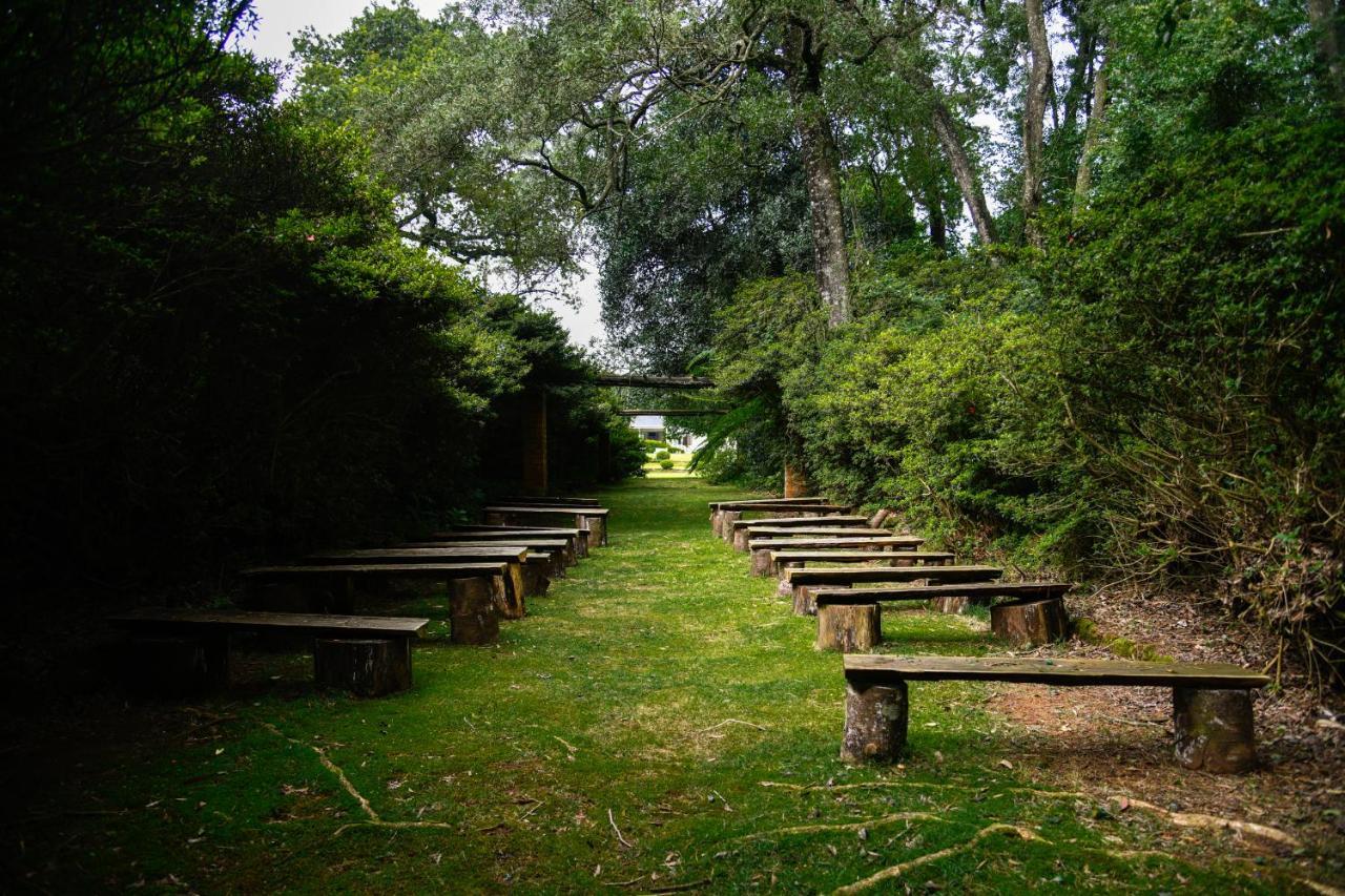 The Knoll Historic Guest Farm Villa Hilton Bagian luar foto