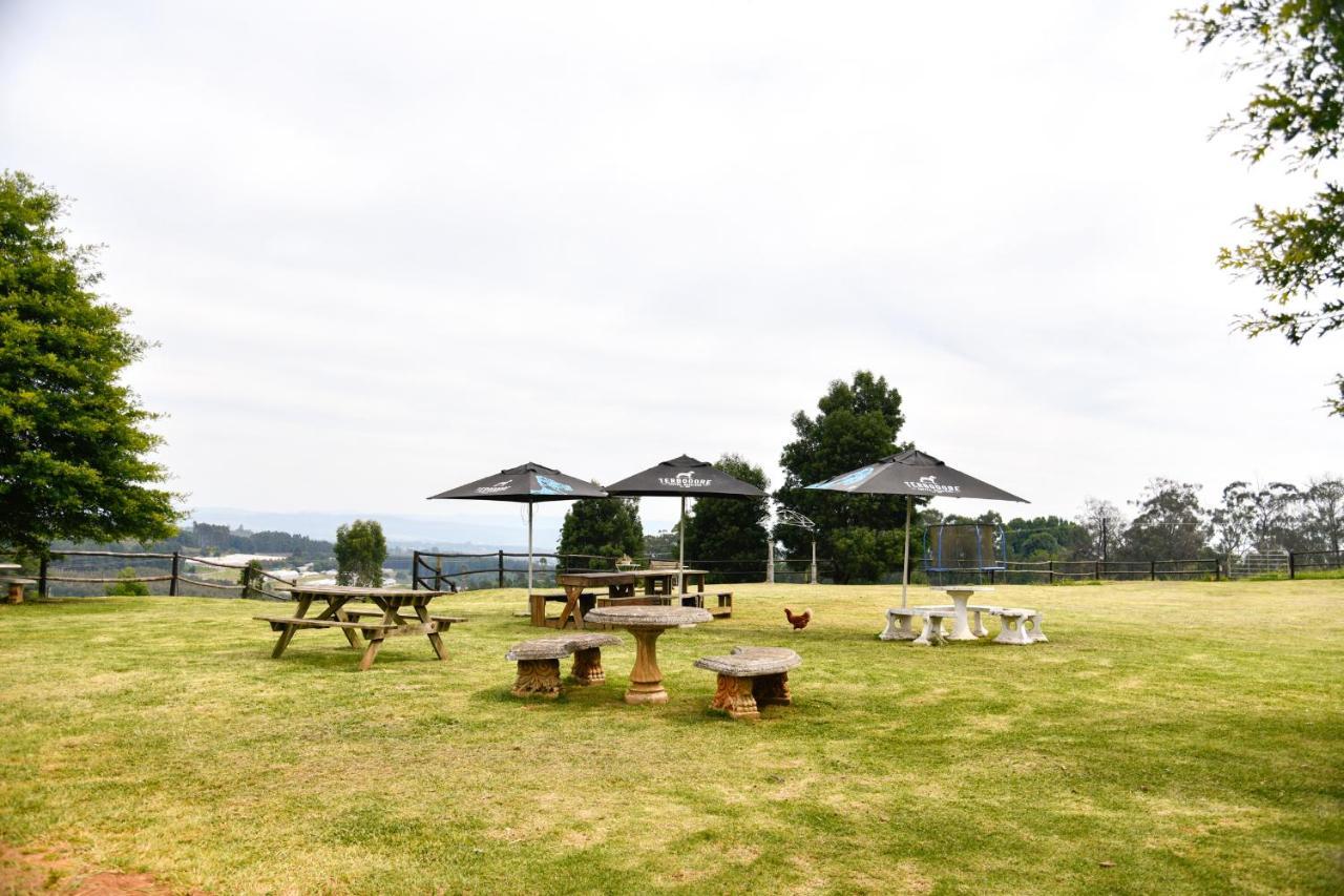 The Knoll Historic Guest Farm Villa Hilton Bagian luar foto