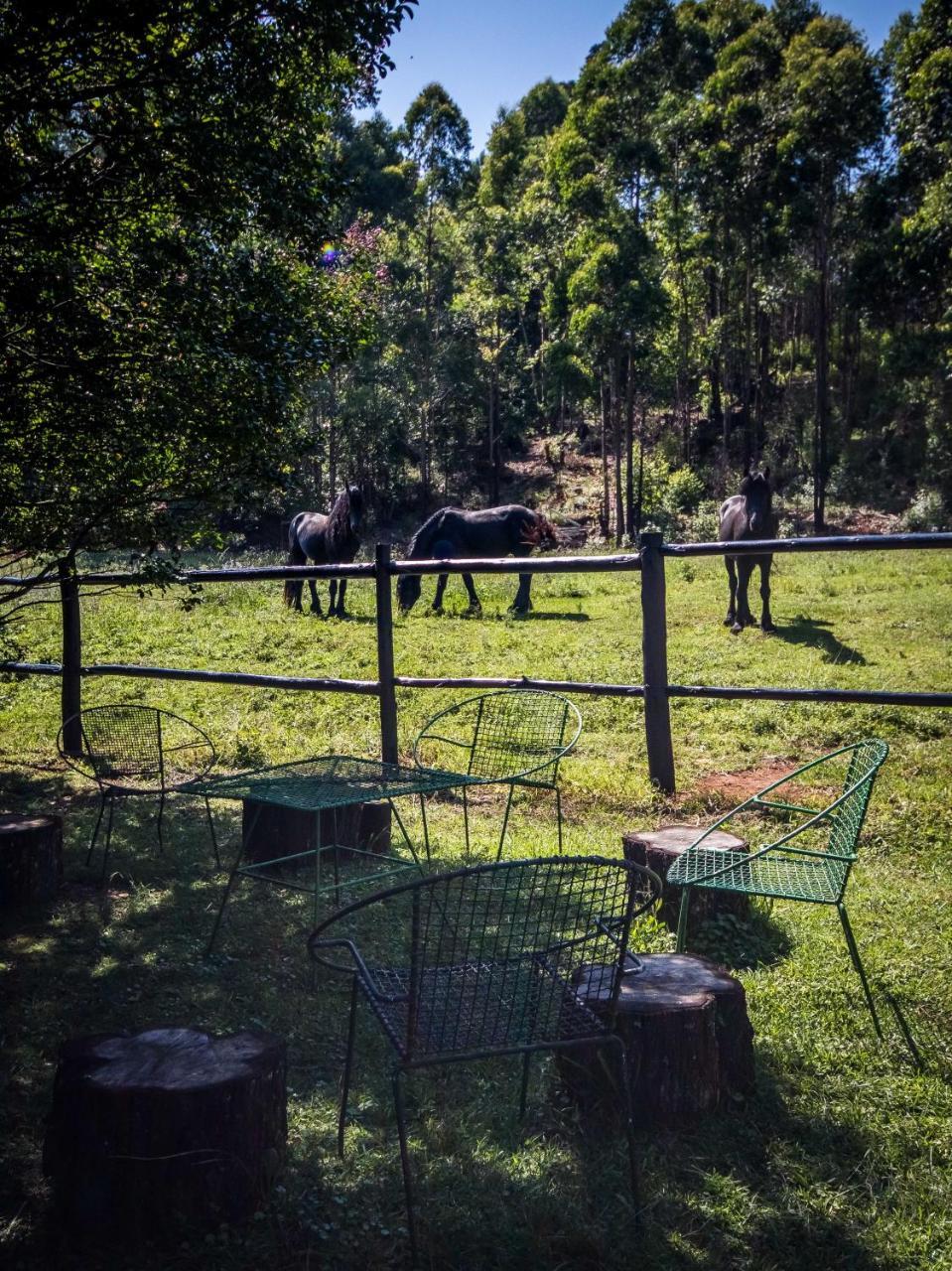 The Knoll Historic Guest Farm Villa Hilton Bagian luar foto